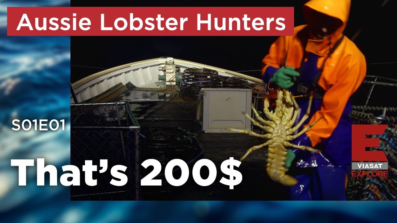 Money Fish - Aussie Lobster Hunters - S01E01