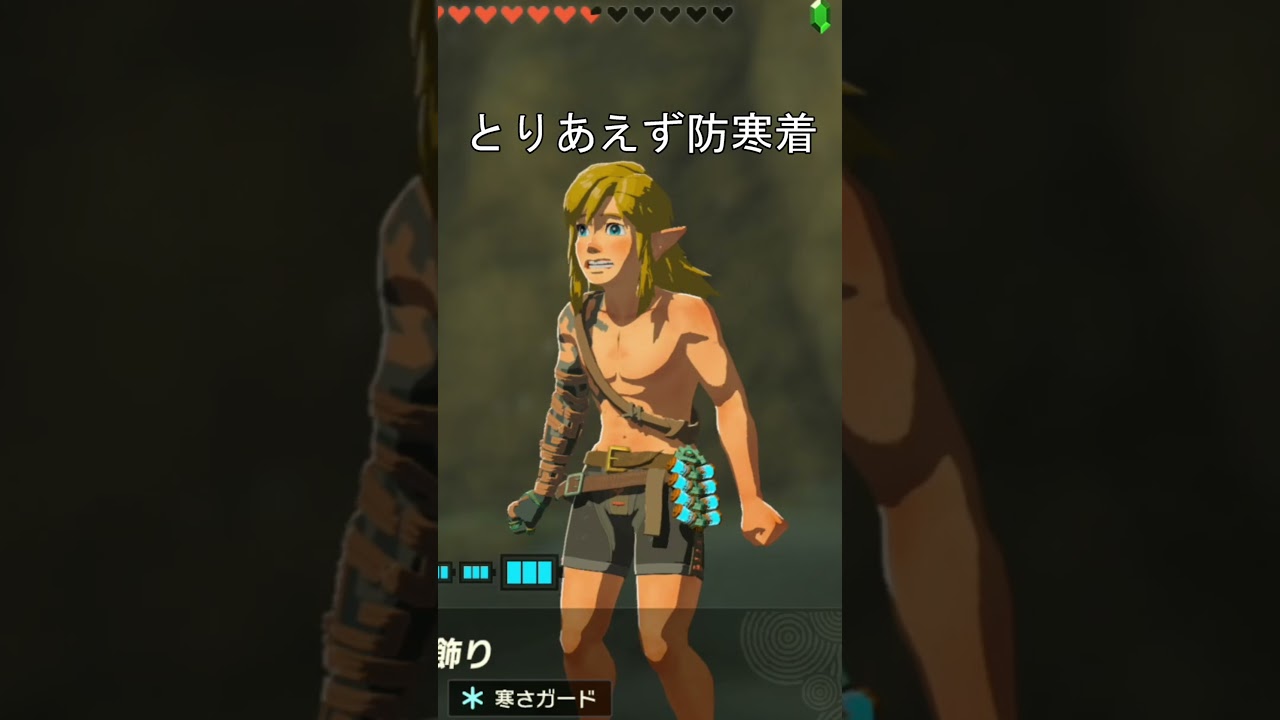 ゼルダの伝説あるある　寒さ防寒着　頭　#ゼルダの伝説 #ティアキン #ブレワイ #リンク