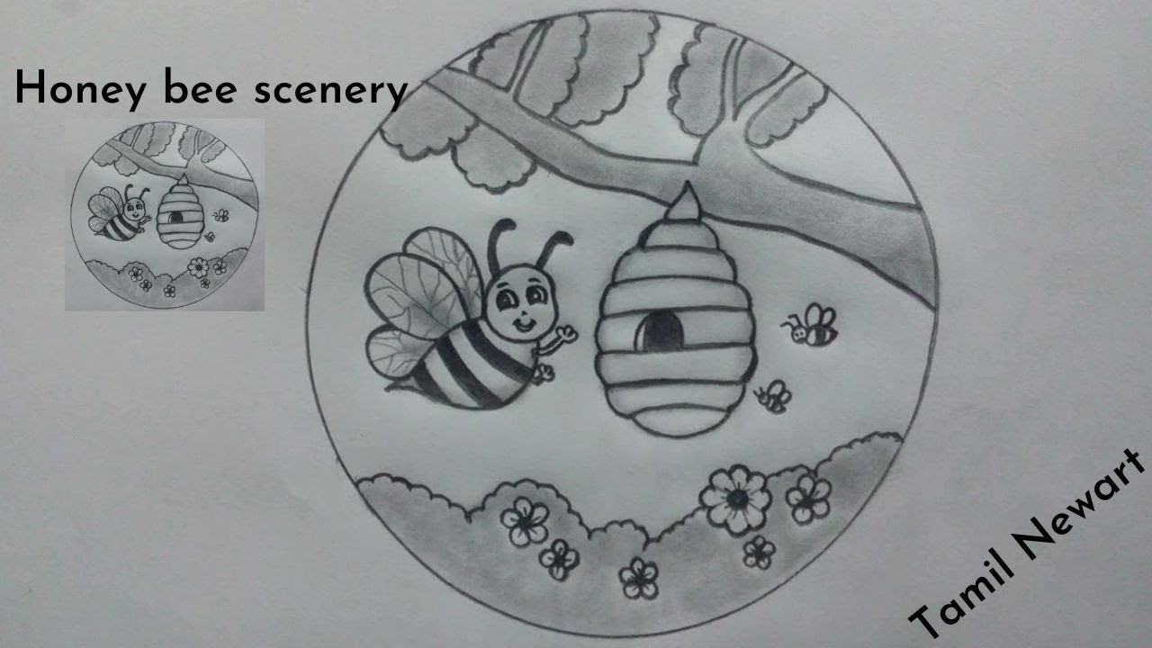 How to draw a Honey Bee Scenery | Easy drawing | @TamilNewArt
