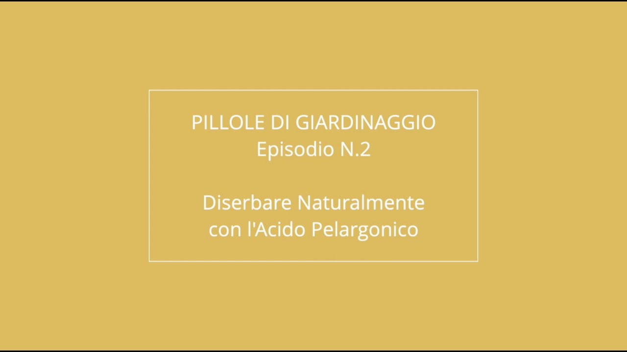 Come Diserbare con l'Acido Pelargonico / Pillole di Giardinaggio / Ep.2