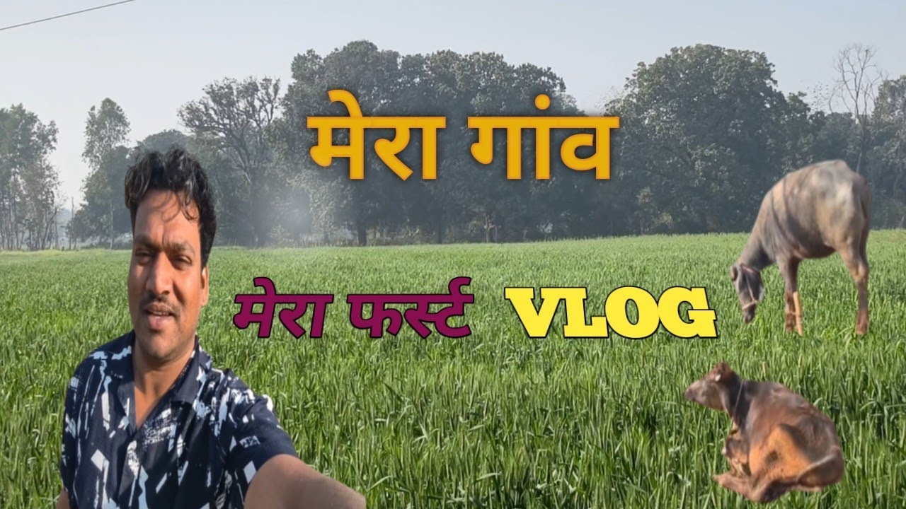 हमारे गांव का व्यू #vlog #vilege #drisya kheti #saurab joshi