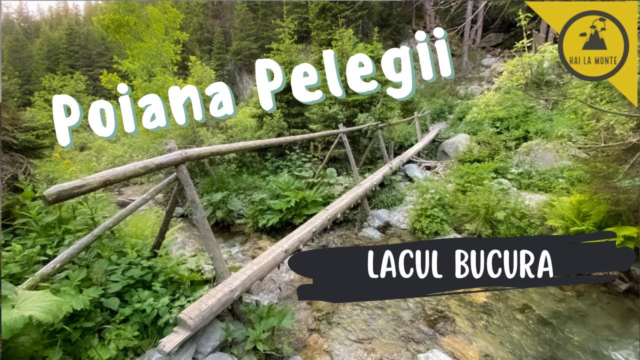 traseu la Lacul Bucura din Poiana Pelegii