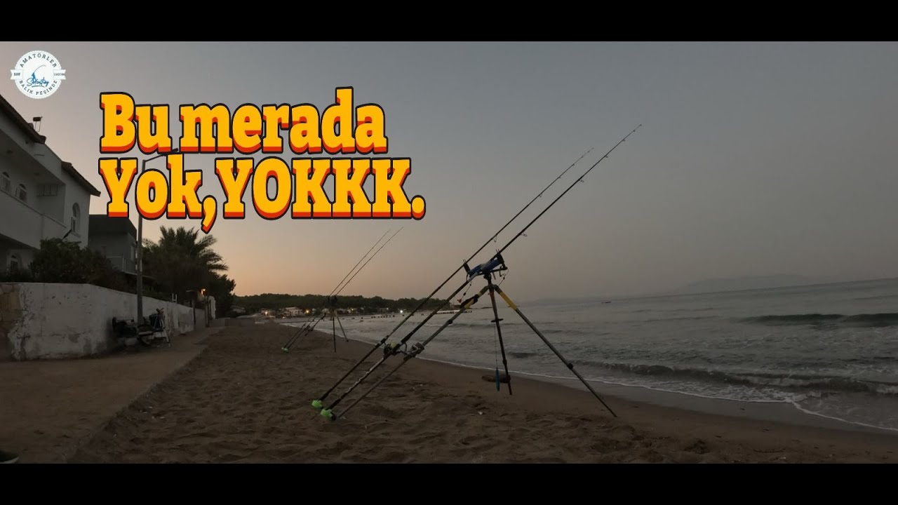 Efsane Mera, Harika BALIKLAR!!@Amatörler Balık Peşinde #balıkavı #surfcasting