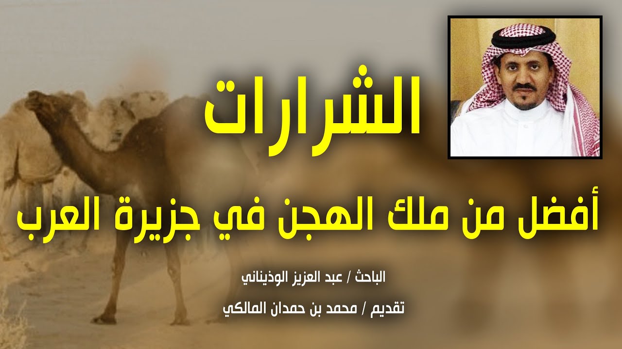 الوذيناني : الشرارات أفضل من ملك الهجن في جزيرة العرب !!