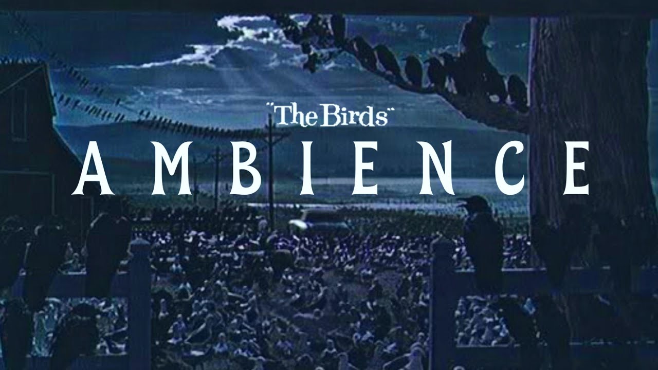 The Birds (1963) | Ambient Soundscape