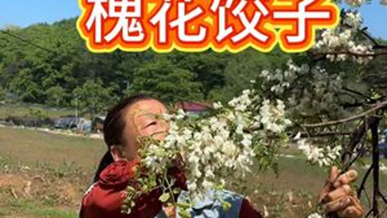 #我的乡村生活 #抖音新农人 槐花馅饺子 花香味道