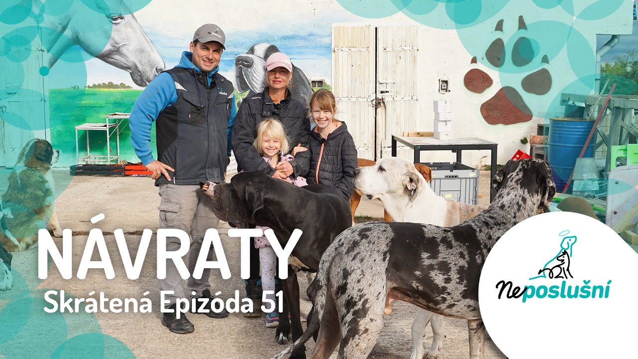Ako Vyzerajú Psíci po Roku Feriho Tréningu? NÁVRATY (skrátené časti) | NEPOSLUŠNÍ