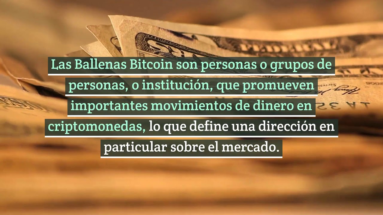 Lo que debes saber sobre Las Ballenas Bitcoin