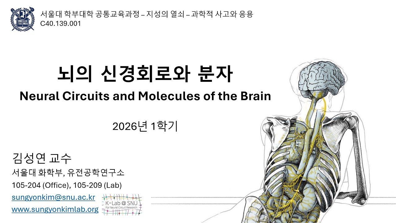 [서울대 강의] 뇌 속 회로를 해독하다: 김성연 교수가 들려주는 뇌과학 최전선