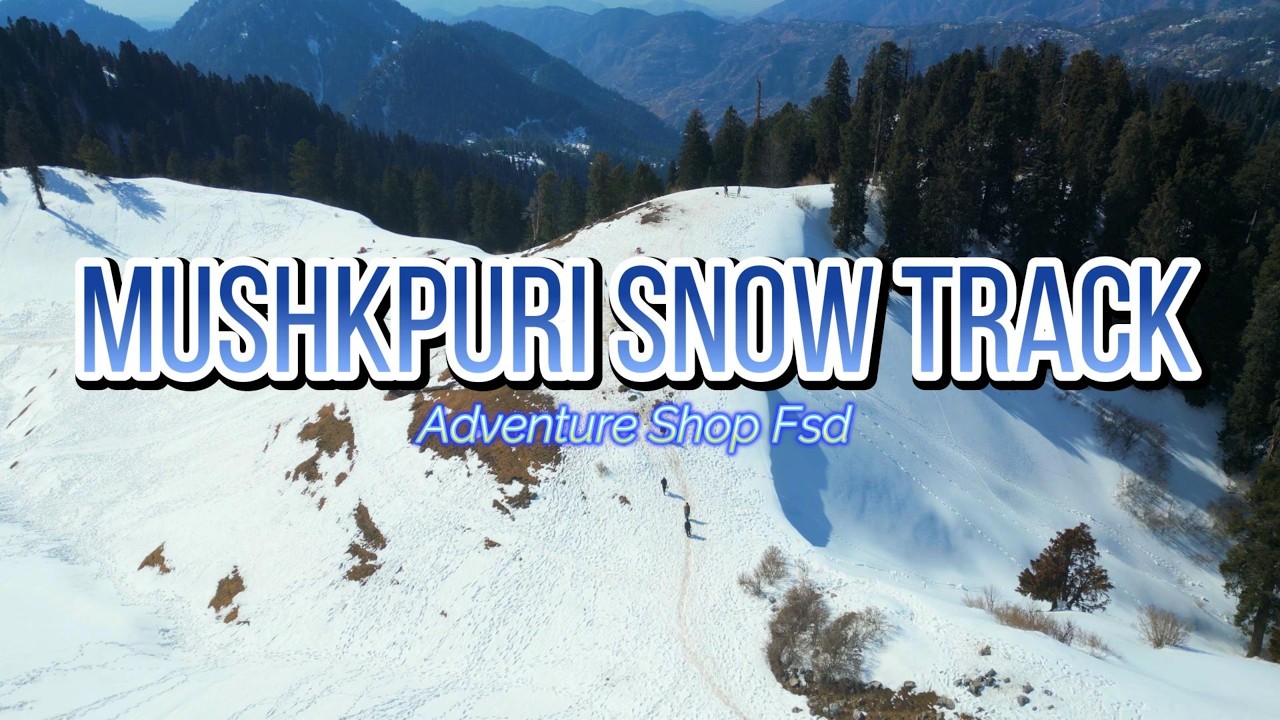 Mushkpuri Snow Track Adventure #track #travelvlog #winterfestival #campping #fyp 