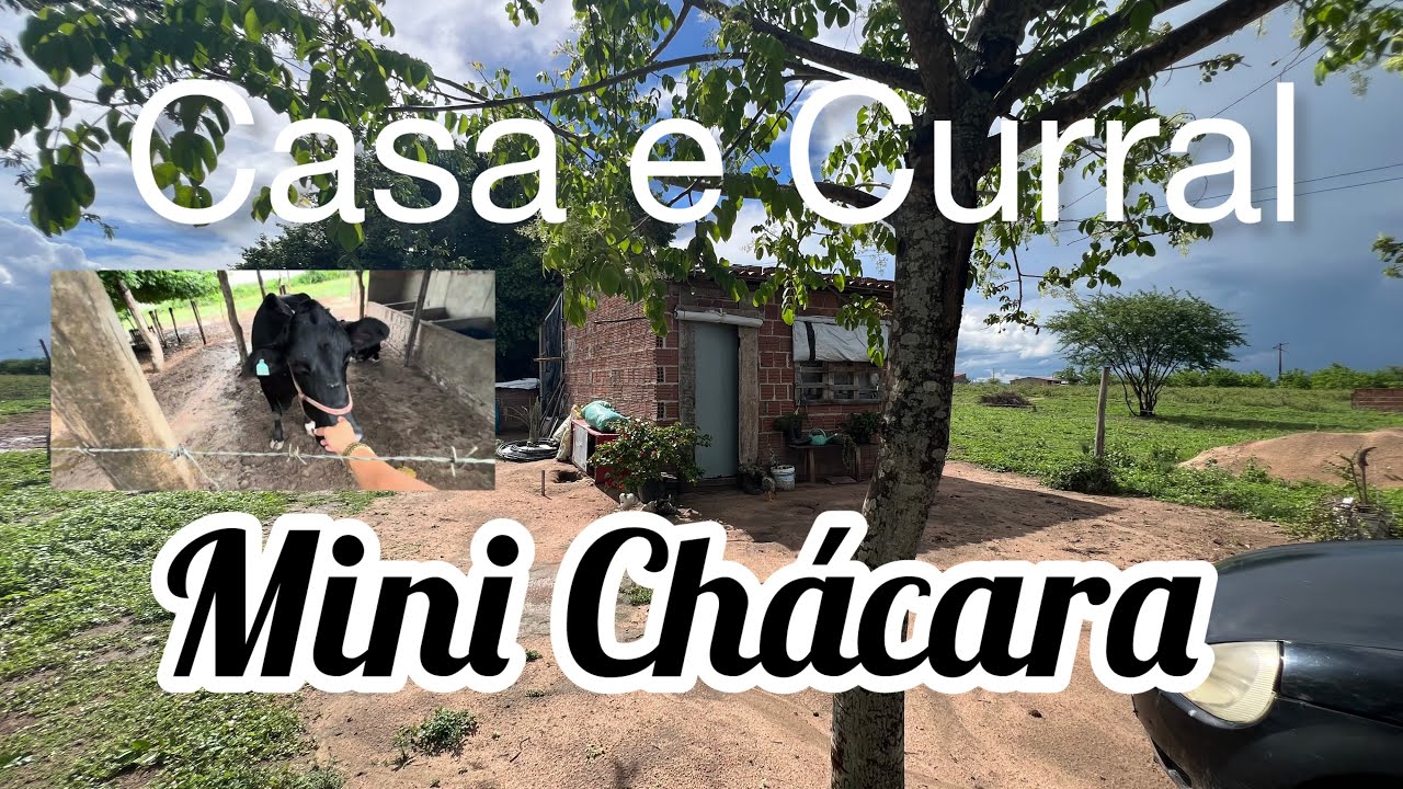 🏠 🐄 Casa e curral no loteando alto do açude 