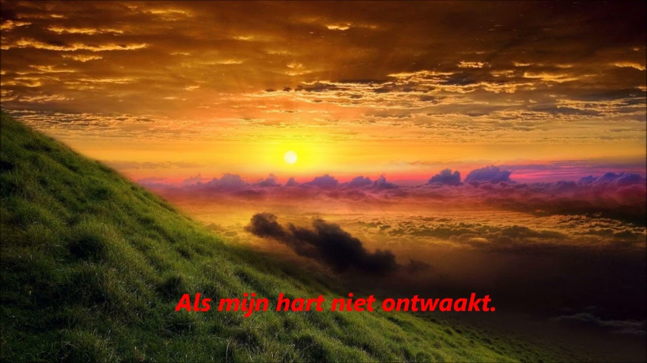 Als mijn hart niet ontwaakt.
