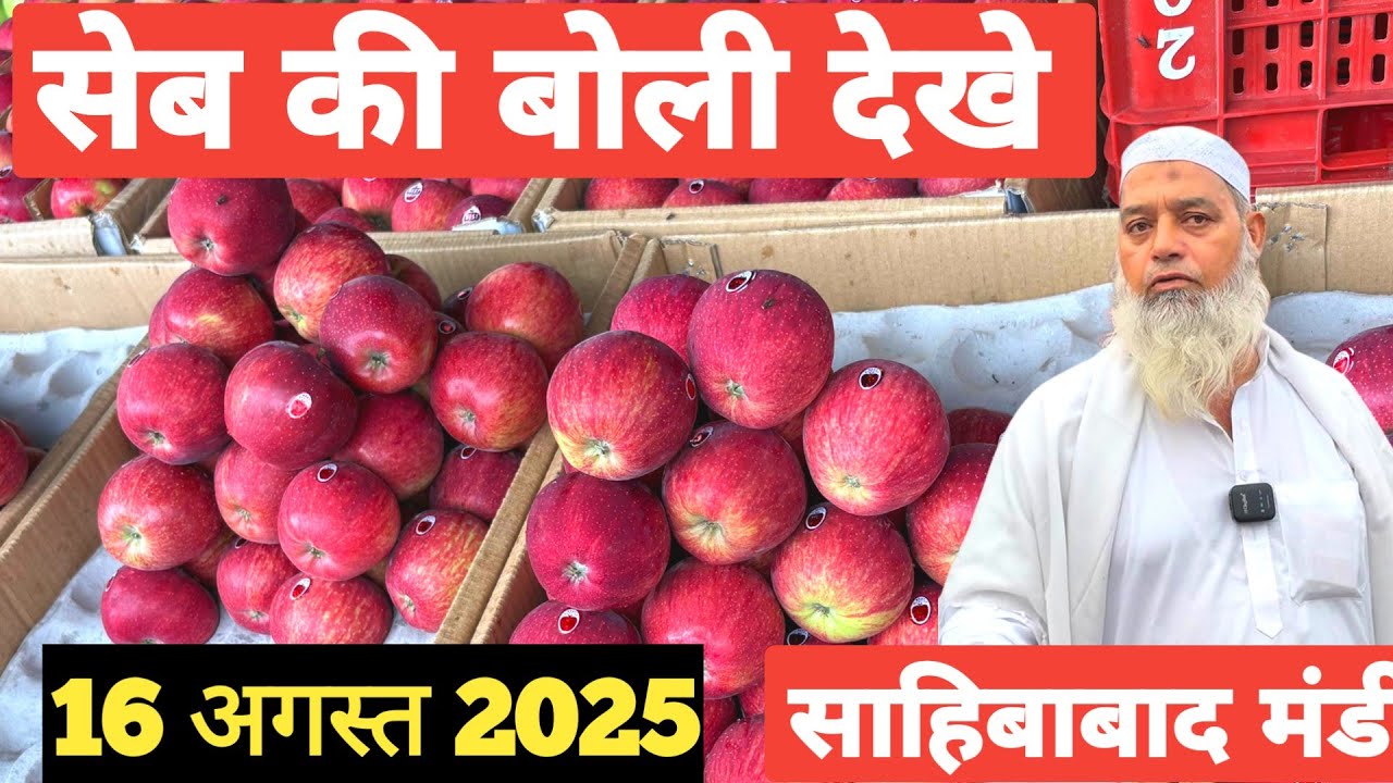 🍎सेब की बोली देखे साहिबाबाद मंडी दिल्ली एनसीआर | today apple rates #apple #delhimandi #mandirates