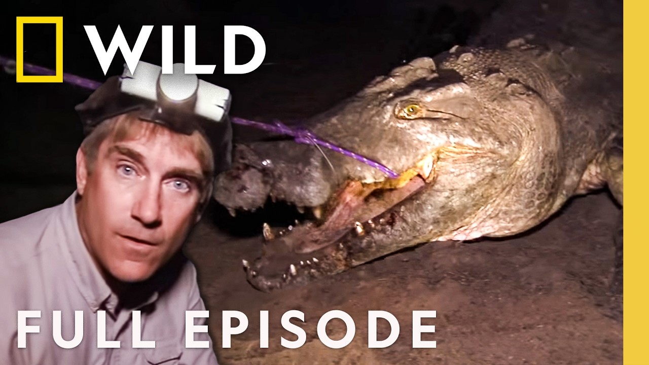 How Big are Monster Crocs? (Full Episode) | Dangerous Encounters | Nat Geo Animals