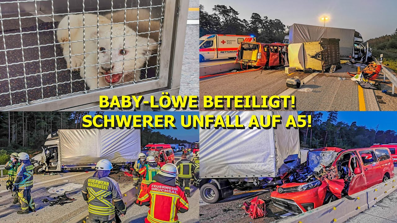 ++ BABY-LÖWE BEI SCHWEREM UNFALL GERETTET ++ FEUERWEHR im GROSSEINSATZ - [4 EINGEKLEMMTE] - A5