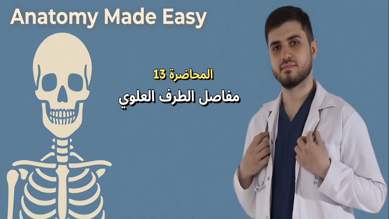 Upper Limb Joints | مفاصل الطرف العلوي بالتفصيل – Anatomy Made Easy