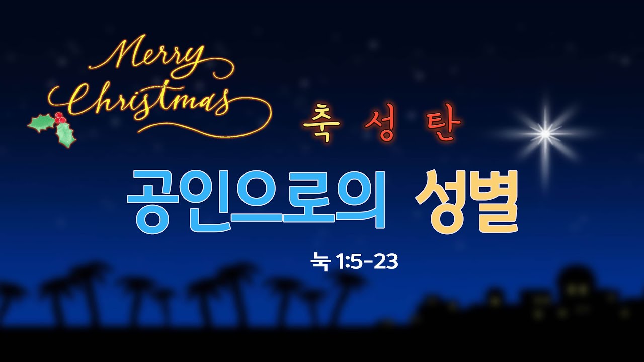 성탄(04) - 공인으로의 성별