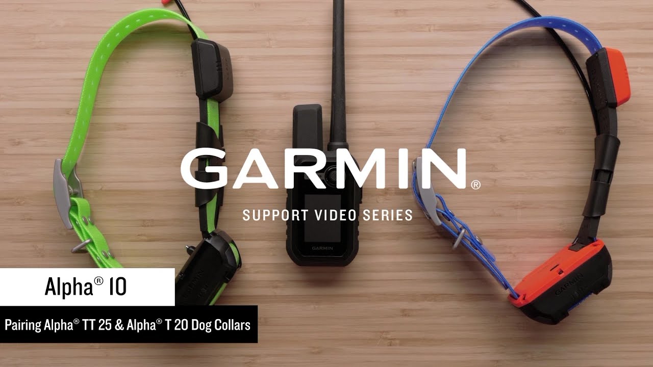 Garmin Support | Alpha® 10 | Pairing with an Alpha® TT 25 or T 20 Collar
