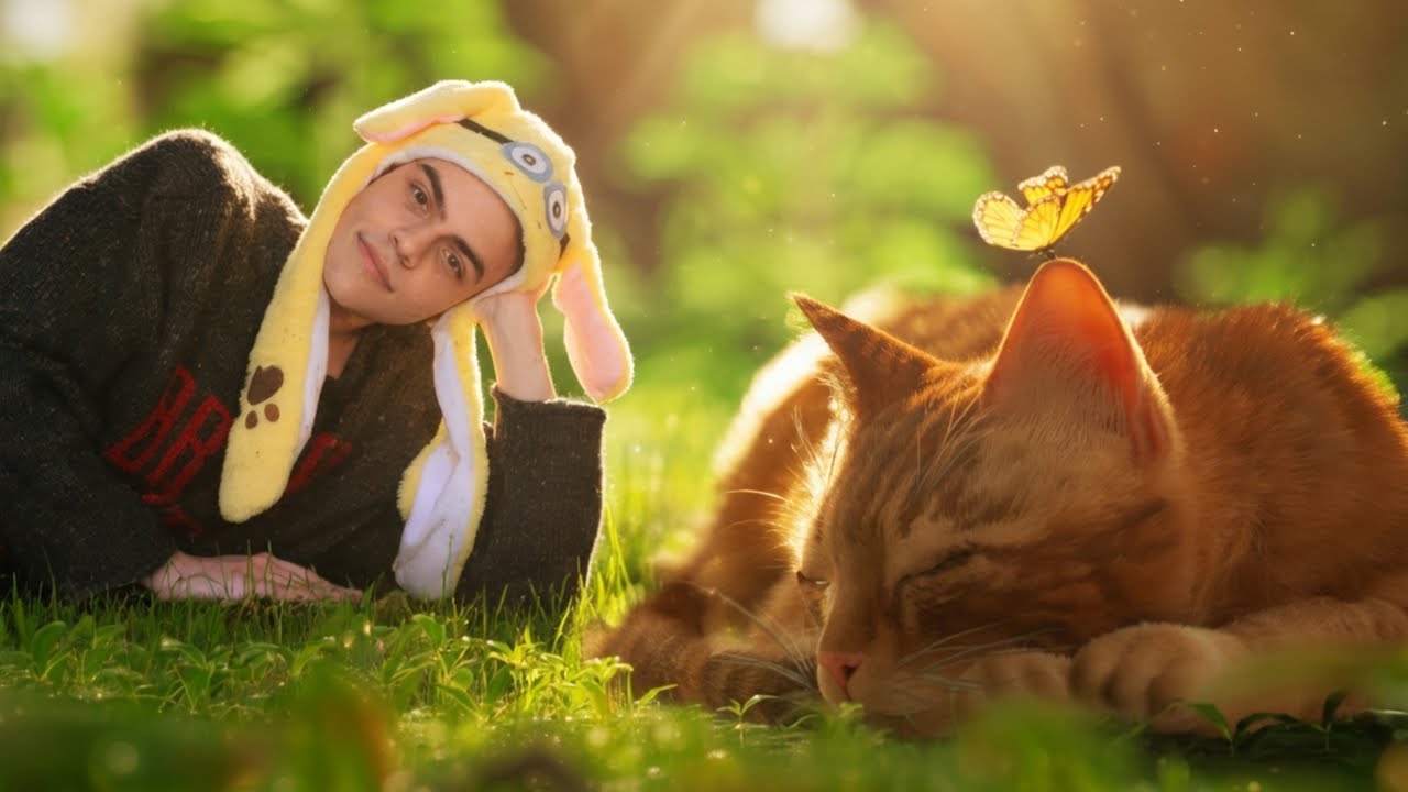 ВАЙБ, ВАЙБ И ЕЩЕ РАЗ ВАЙБ | Stray (1 часть)