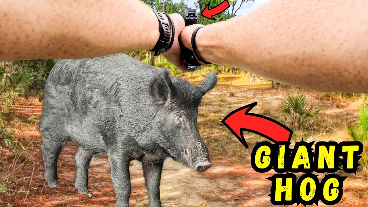 PISTOL HUNTING The Most DESTRUCTIVE PEST! 10mm VS Wild BOAR!