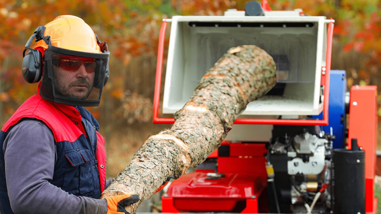 ♻ Eco-friendly Firewood Harvesting made easy: discover device turning branches into sustainable fuel