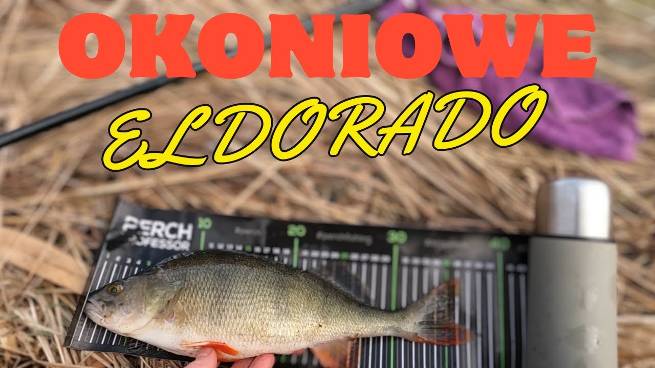 Okonie na UL 2025 ELDORADO JIG-RIG jak zrobić ? różne porady i wskazówki
