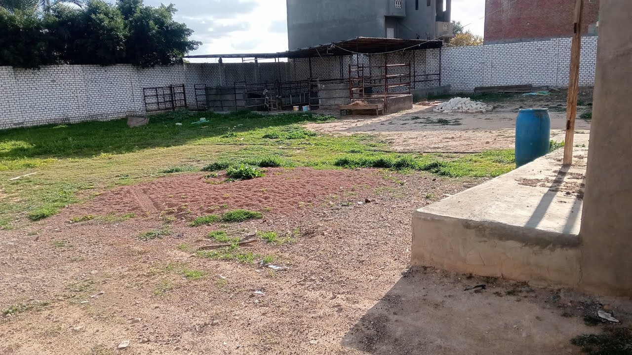 مزرعه للبهايم للبيع مساحه 1100متر للتواصل محمود للتسويق العقاري 01010150636