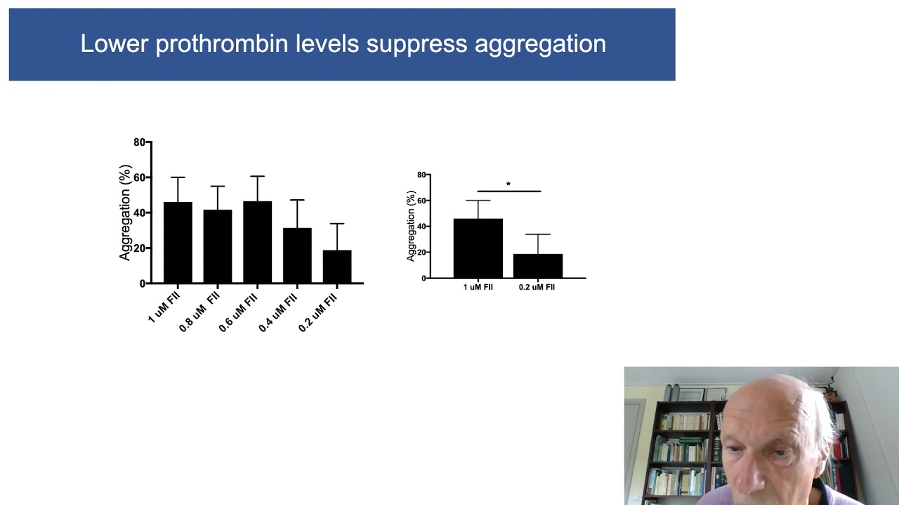 Thrombin Conference 2021 - Flip de Groot