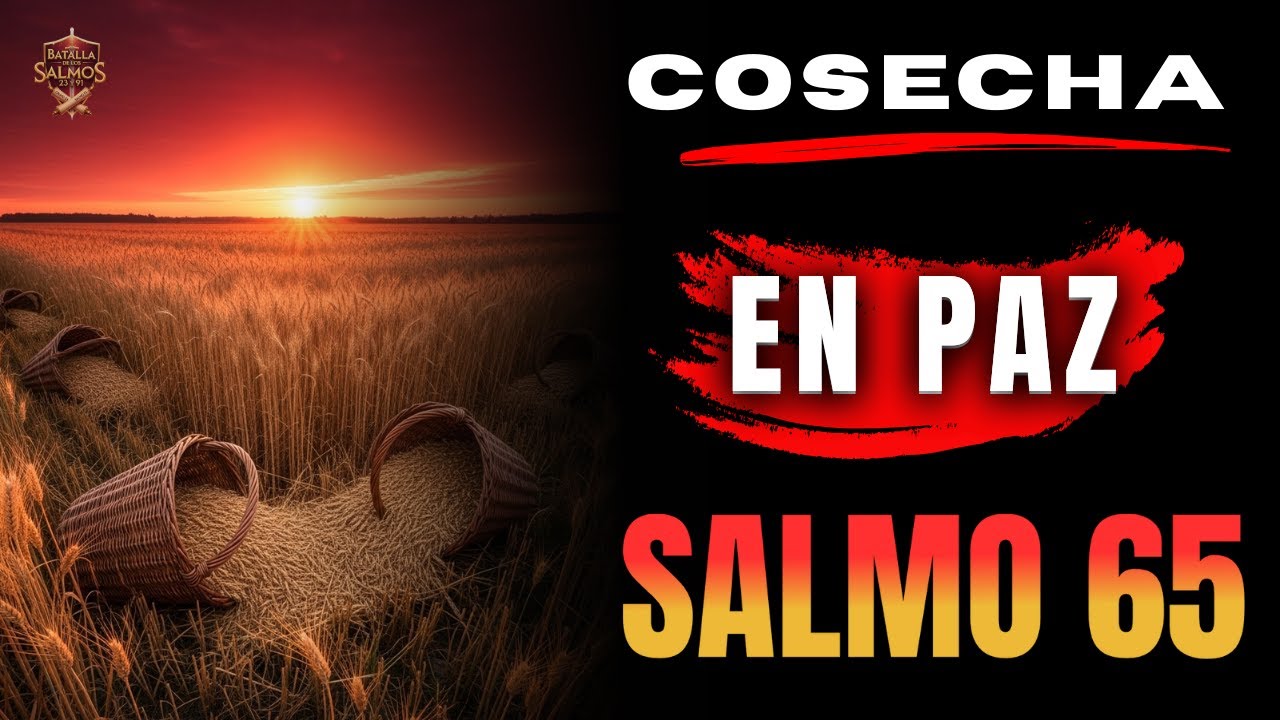 💰 SALMO 65 — Oración de Gratitud por el Sustento y la Cosecha de Dios