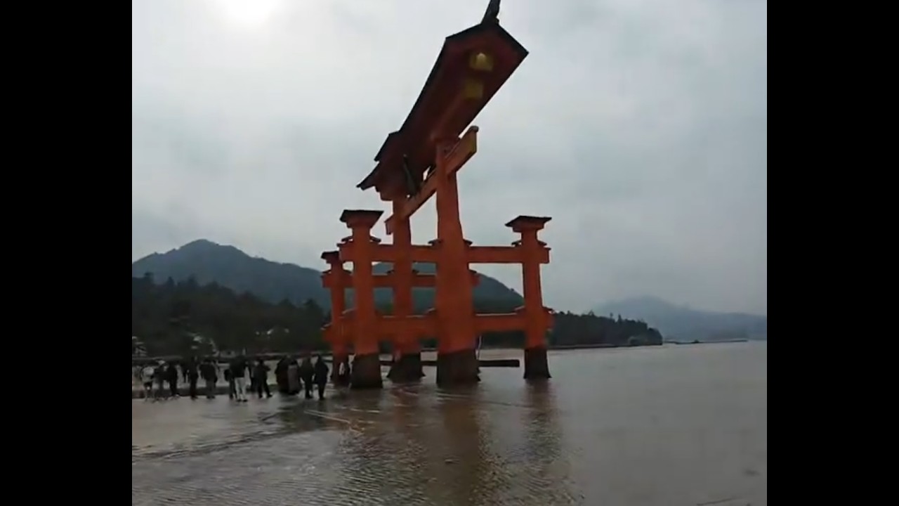 MIYAJIMA! SYMBOL OF JAPAN VISITING AND TOURING THE ISLAND!