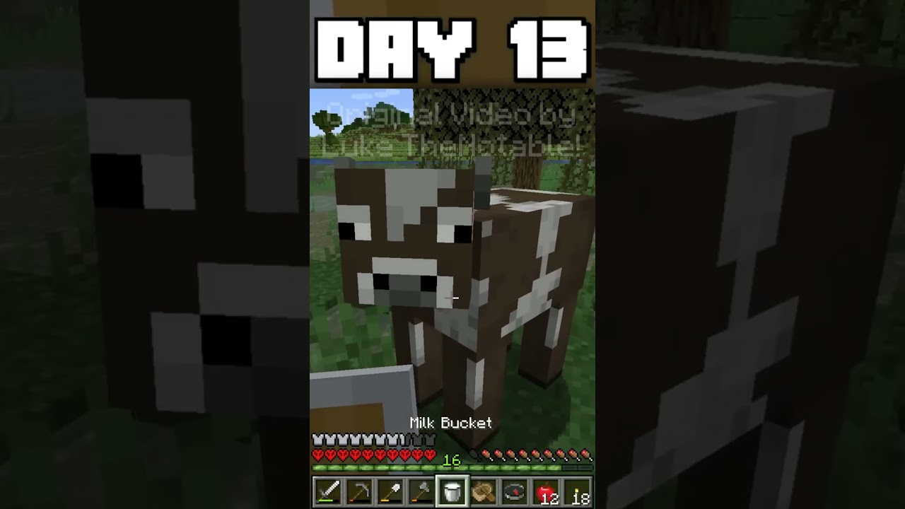 DAY 12-14 (100 Days - Hardcore Minecraft by Luke TheNotable)