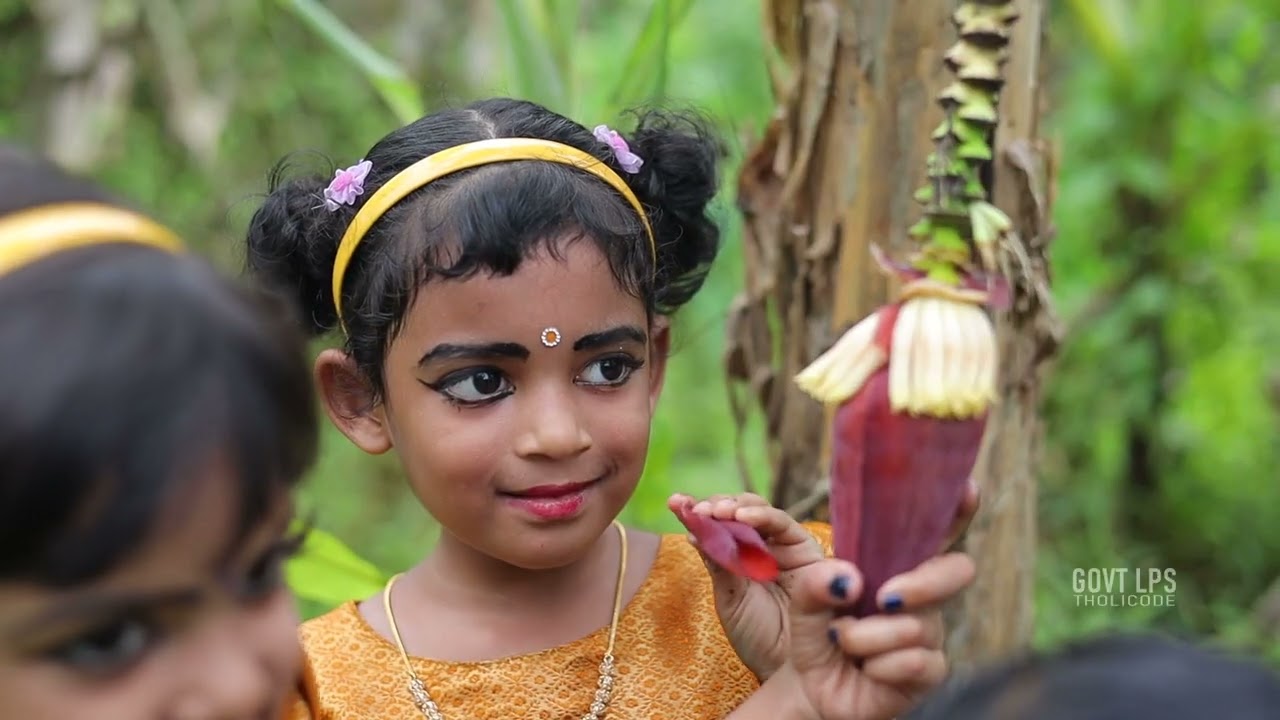 കളിപ്പാട്ട് പാടാം...