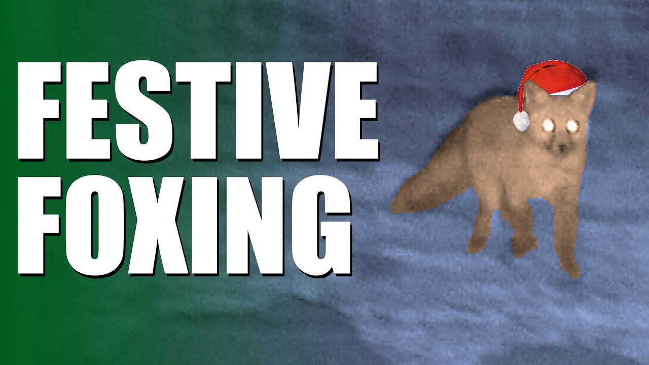 Fieldsports Britain - Festive Foxing