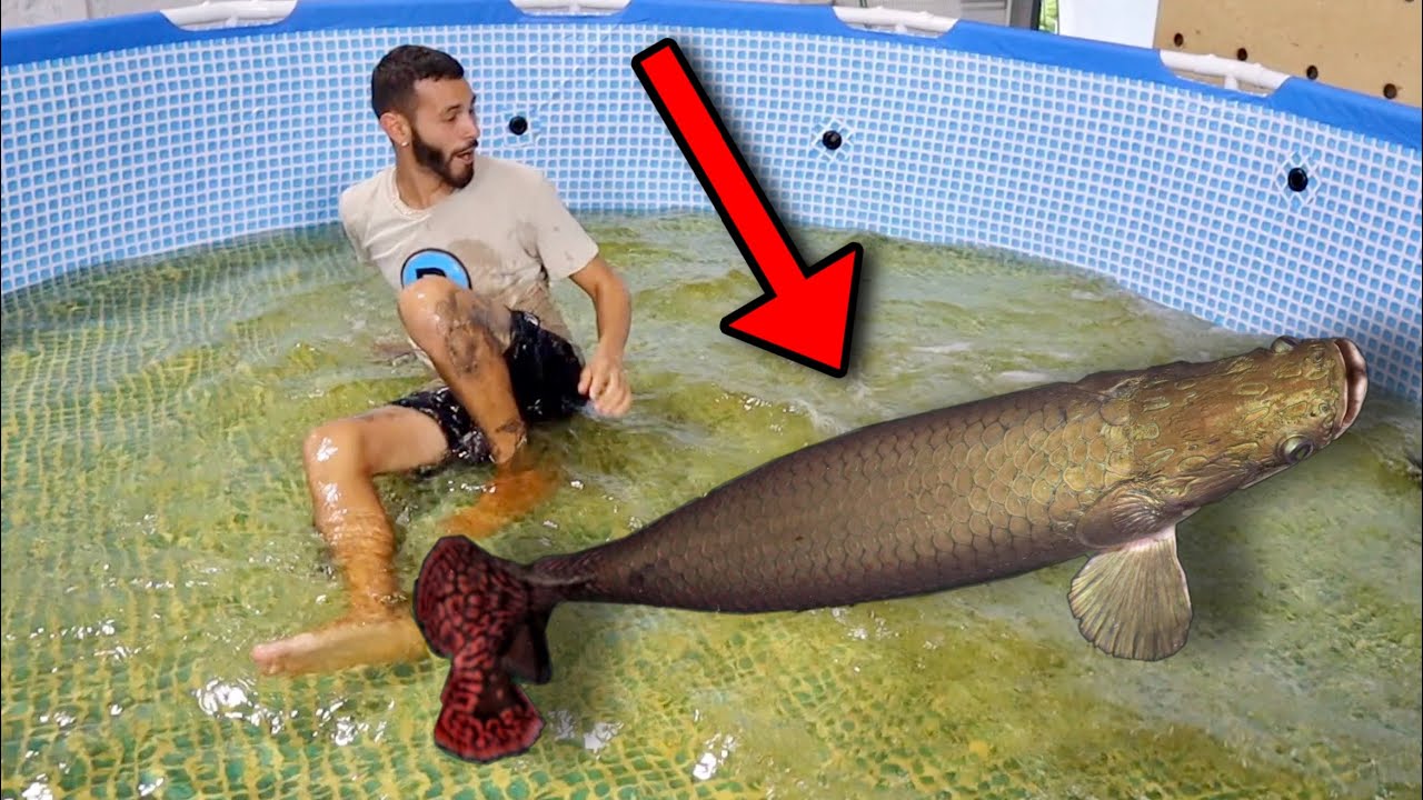 Most DANGEROUS Fish Move On The Ranch!