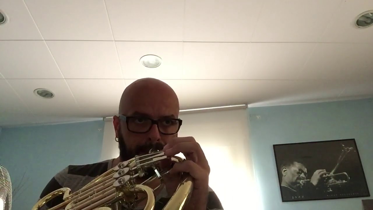 Look, Listen & Learn vol.1, English Country Gardens (track 84)- French horn/ trompa