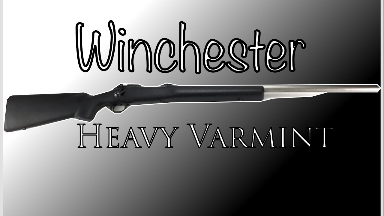 Winchester Heavy Varmint 308 Rifle Review