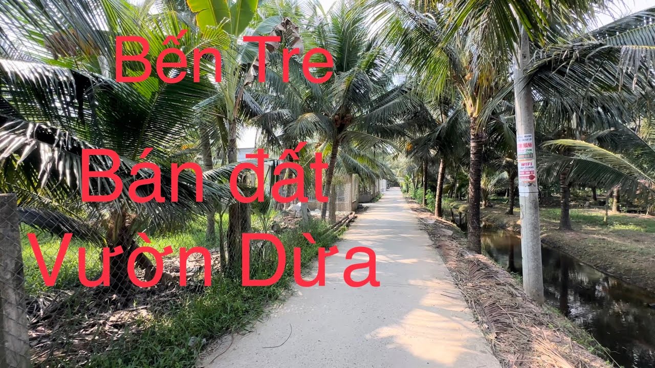 Bán 2 Công Đất Vườn. Xã Thành Triệu. Tỉnh Bến Tre. Đường 3m5. Lh Nhựt Nguyễn 0908219998