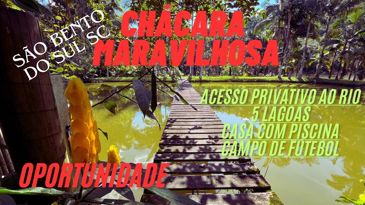 Um Espetáculo de Chácara em São Bento do Sul - SC #natureza #chácara #sitio #camping #shortvideo