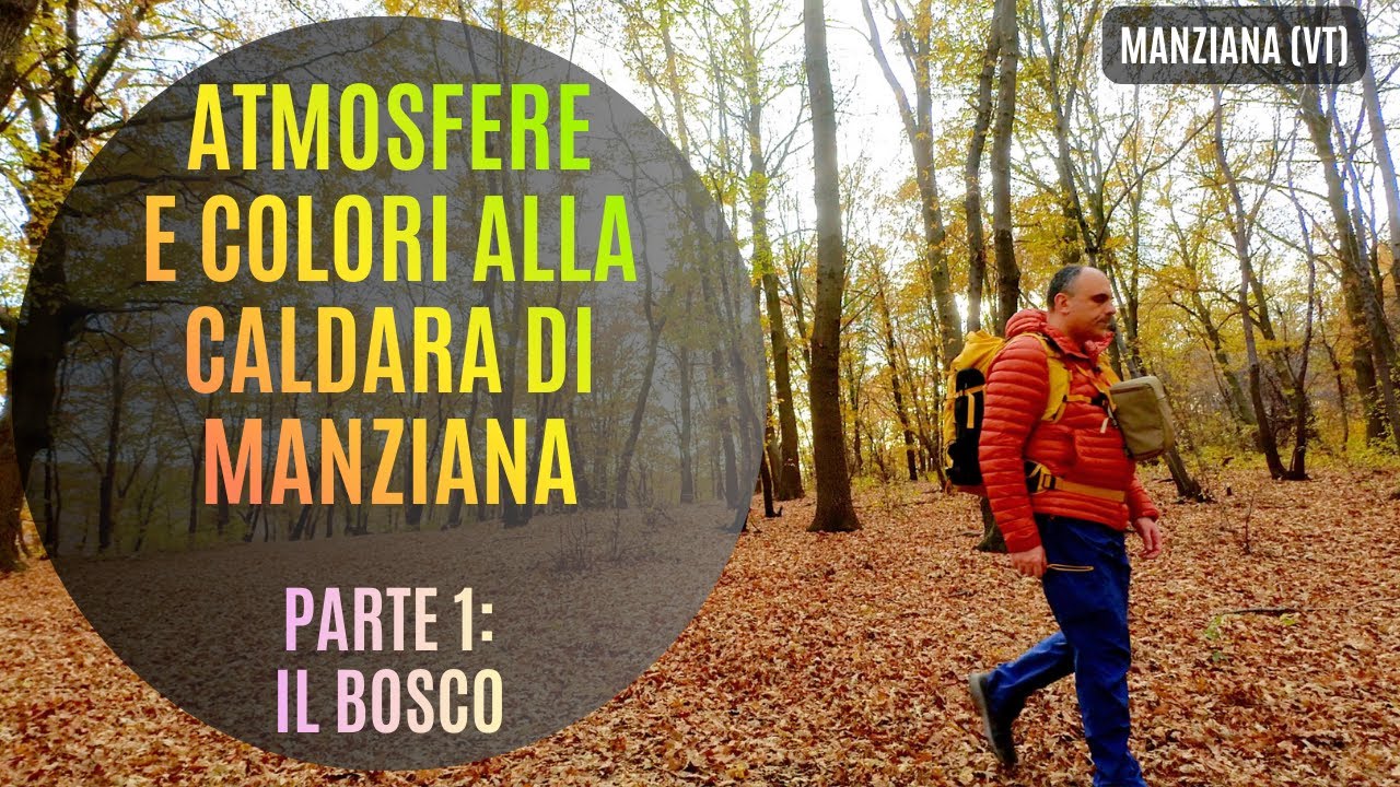 Atmosfere e colori alla Caldara di Manziana (VT). Parte 1: il bosco 