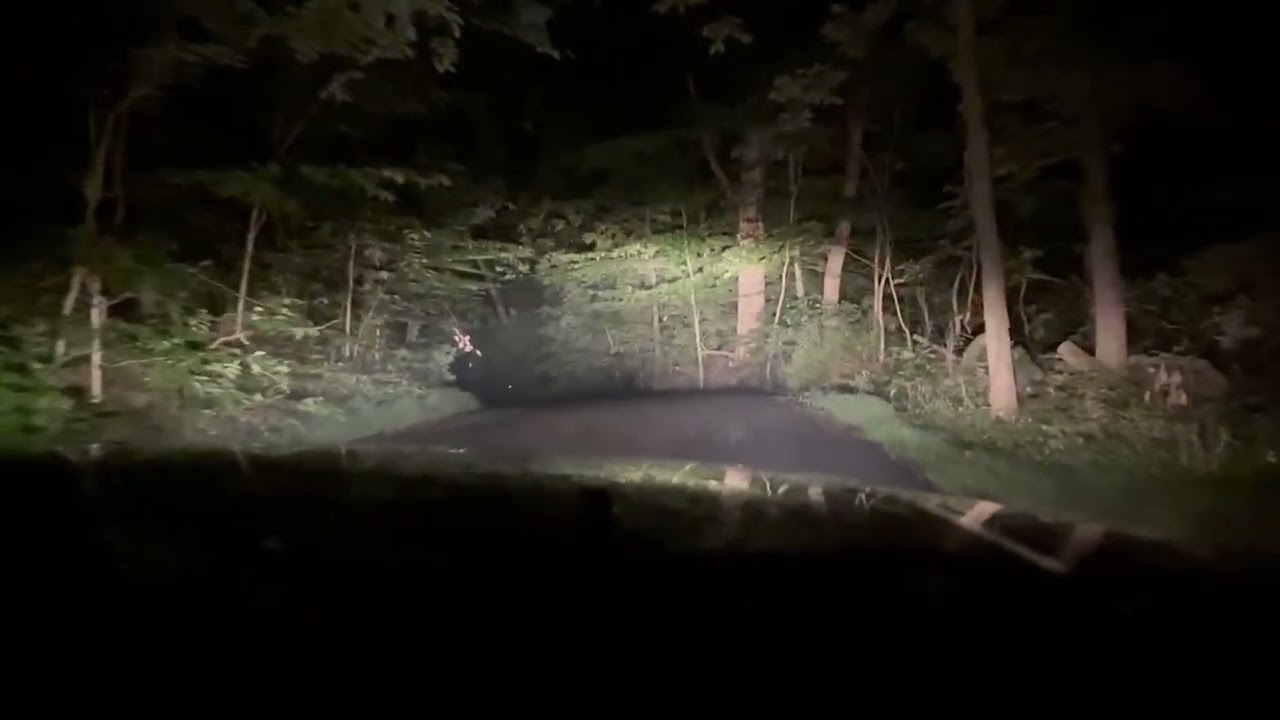 OUT FOR A DRIVE 