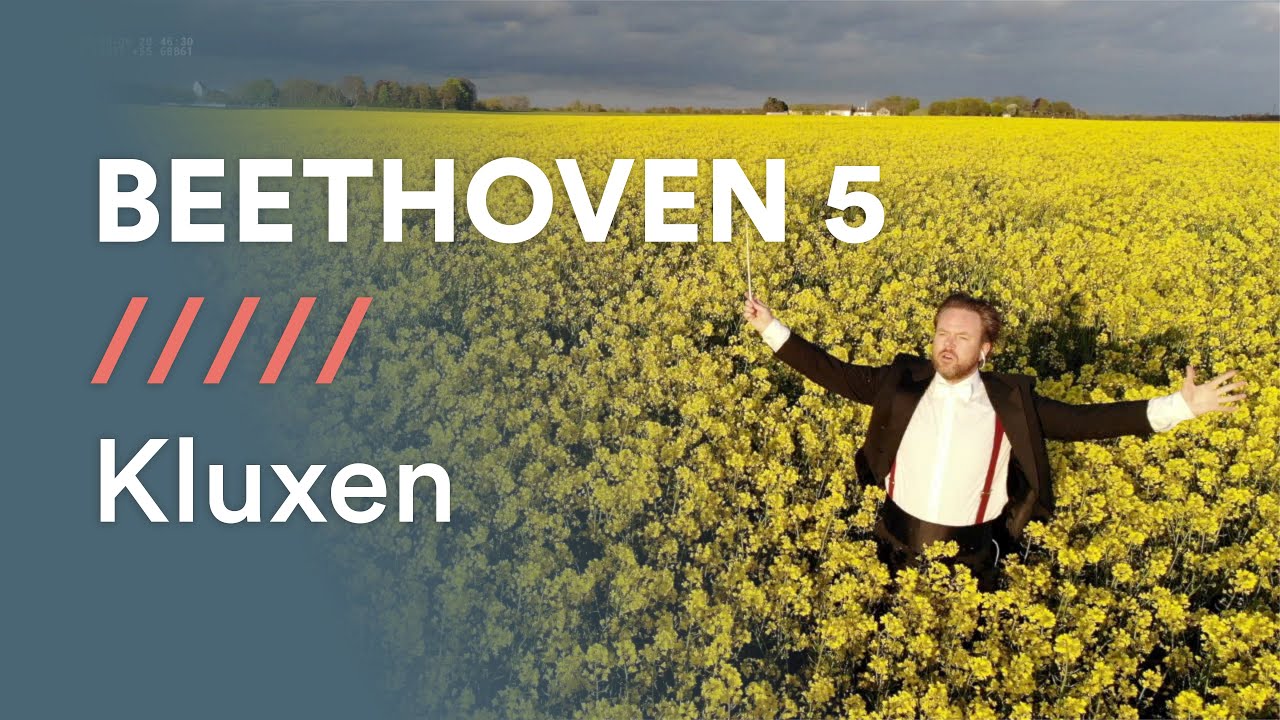 BEETHOVEN - Symphony No5 - I: Allegro con brio (excerpt)