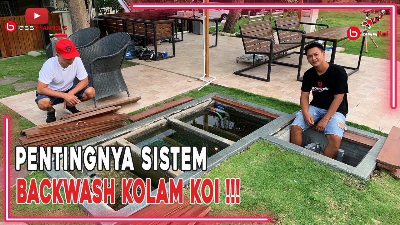 PENTINGNYA SISTEM BACKWASH KOLAM KOI ❗❗❗