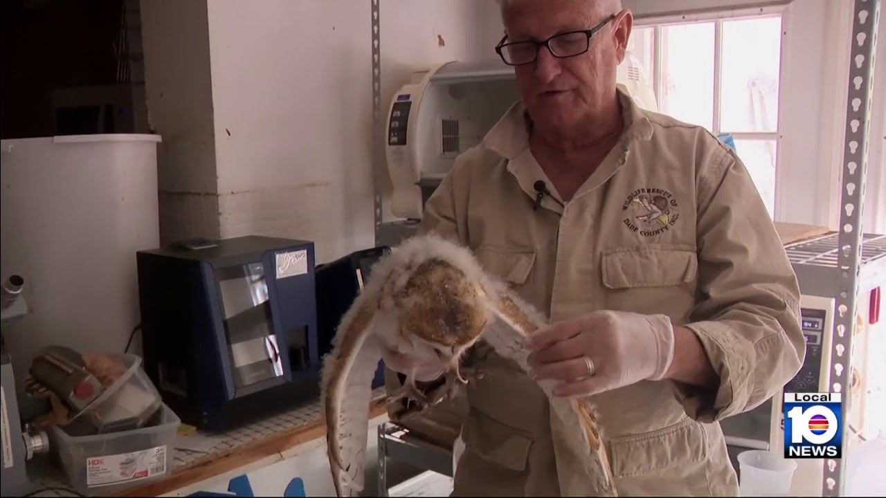 Local wildlife hero: Firefighter saves animals in his spare time