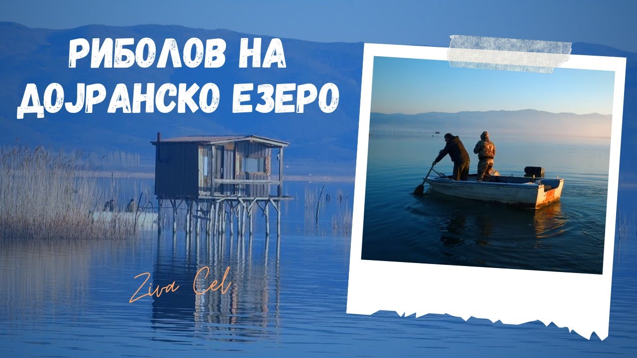 Ribolov na Dojransko Ezero | S2E12 - Ziva Cel #ribolov #fishing #dojran
