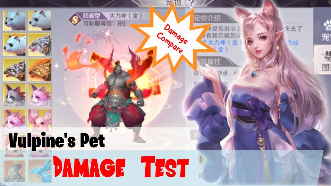 Vulpine's Pet Damage Test - Perfect World Mobile
