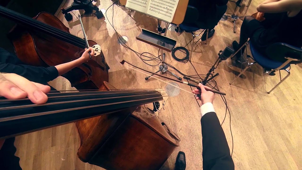 Camille Saint-Sa&euml;ns: Danse Macabre, YourStage.tv - Streichinstrumente