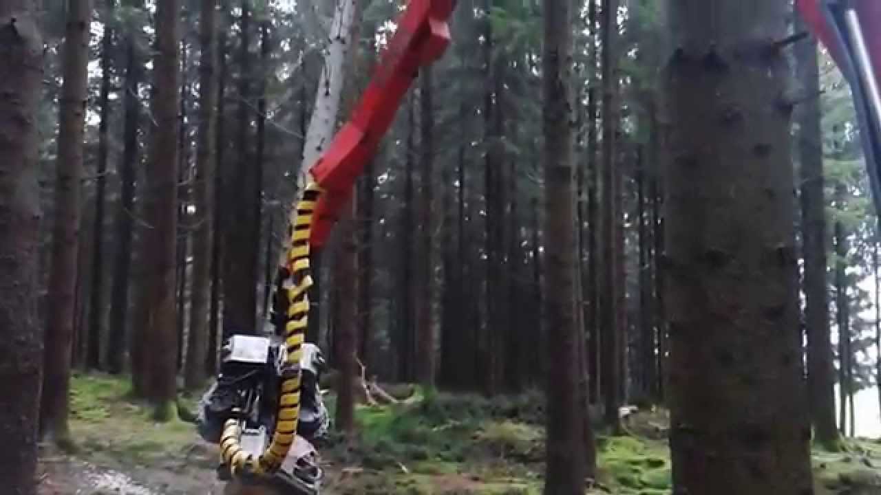 Neuson Harvester