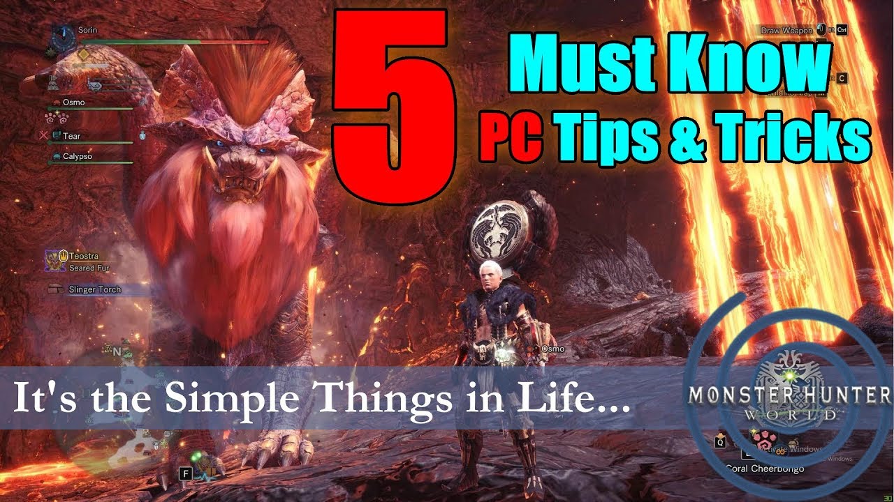 5 Tips and Tricks for Monster Hunter World on PC: Gear & Decoration Loadout, Item Management ect...