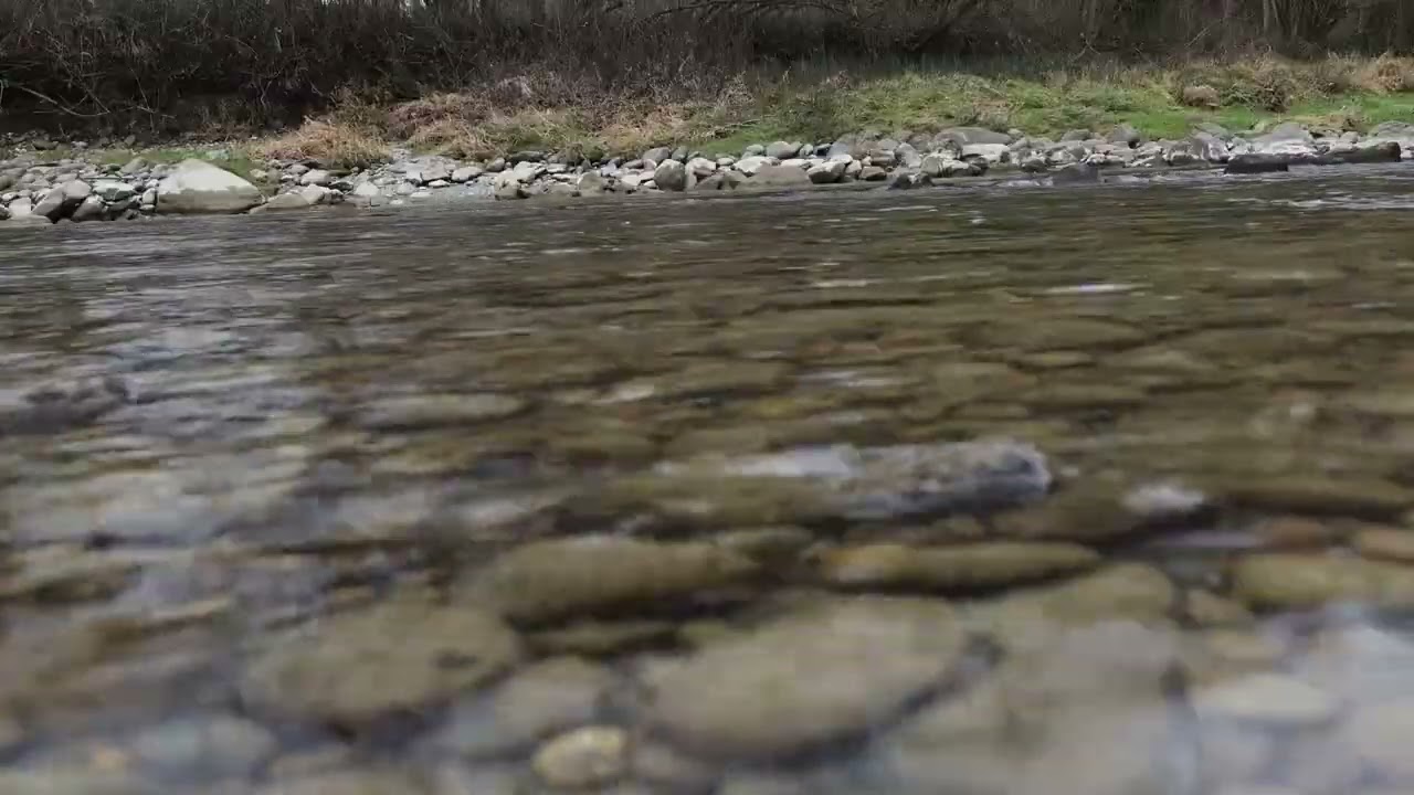 River Stream Sounds - 10 Hours of Nature's Perfect Lullaby for Relaxation and Sleep