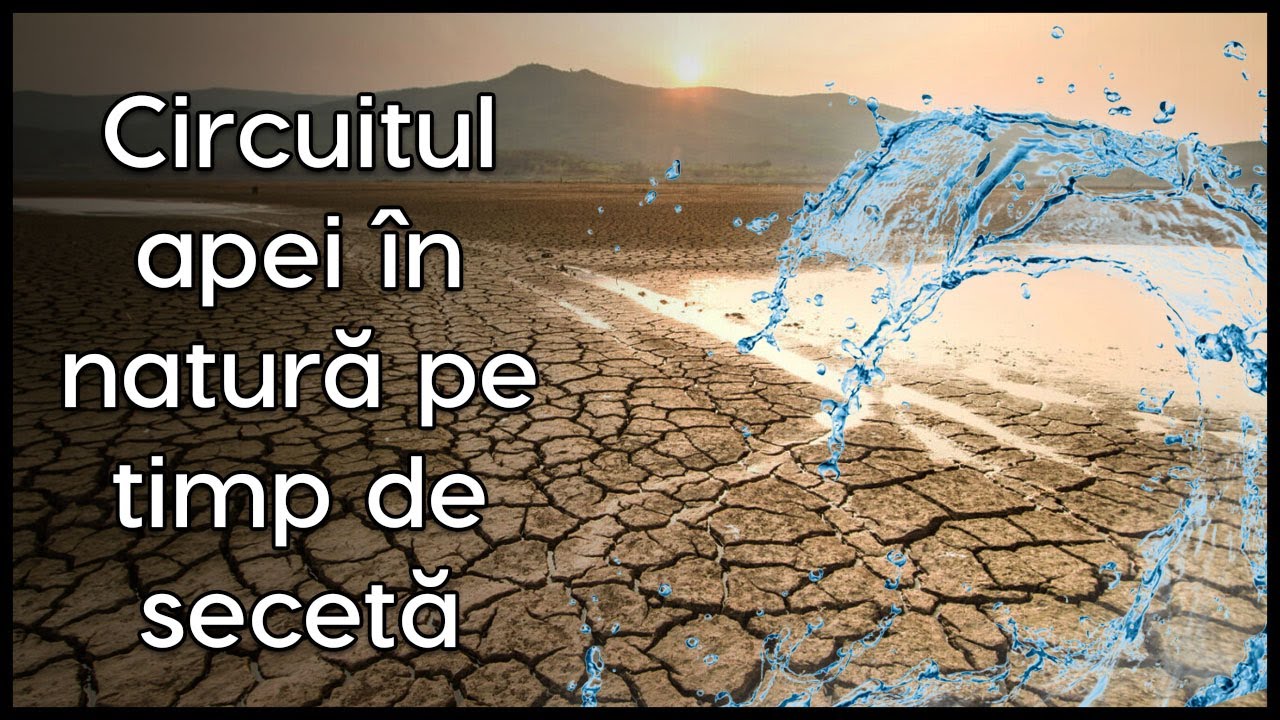 Circuitul apei &icirc;n natură pe timp de secetă | TOP Vista